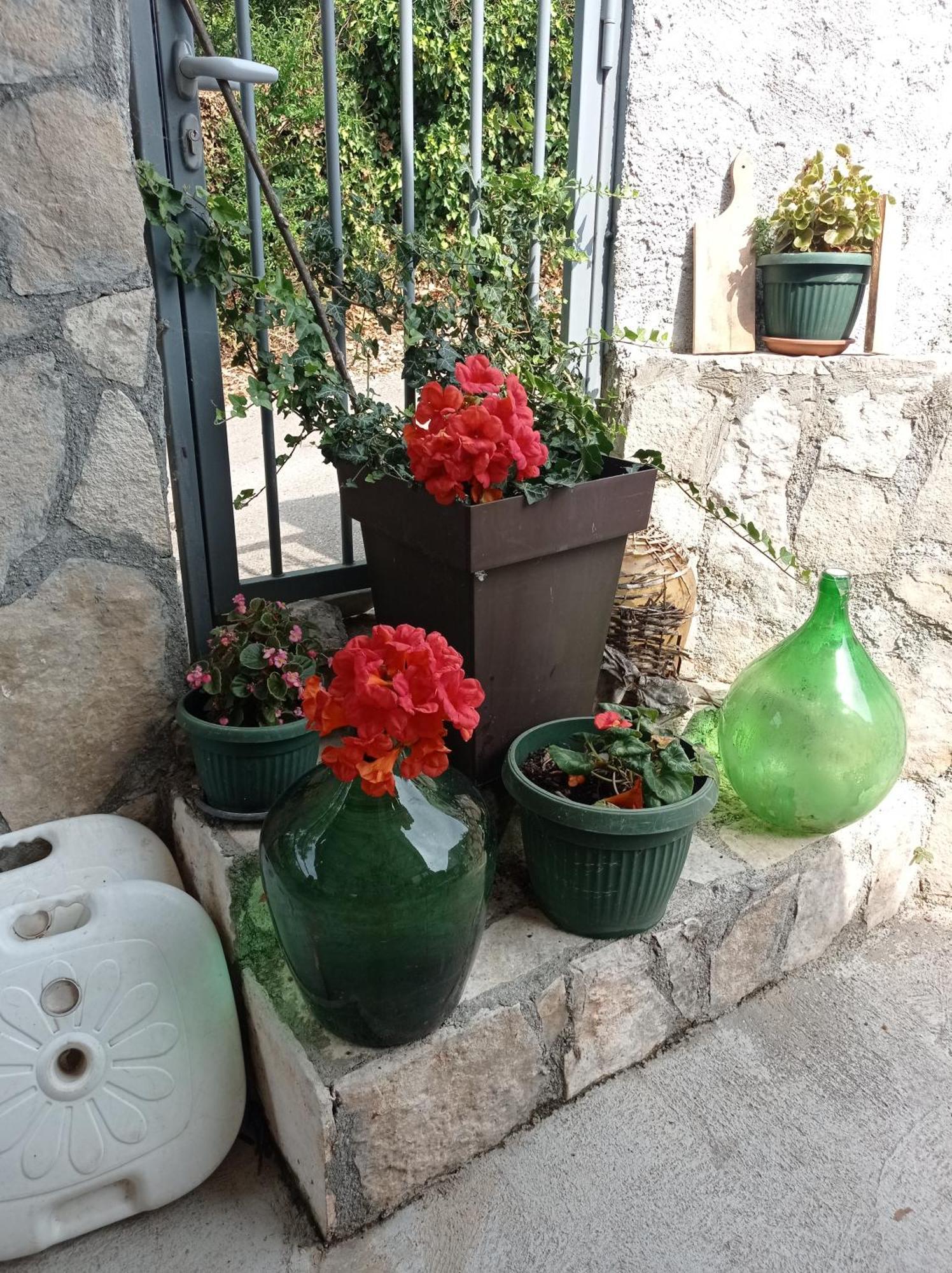 Apartments Nino Skadar Lake Virpazar Zewnętrze zdjęcie